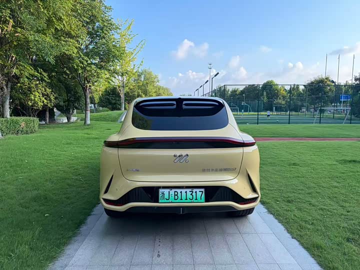 IM motors LS7, 2023 — фото 6 из 9