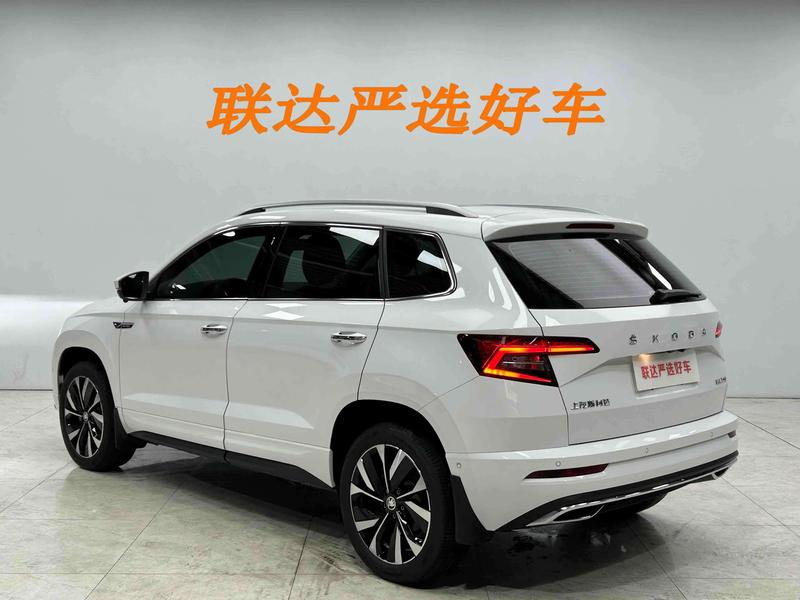 Skoda Karoq, 2025 — фото 4 из 12