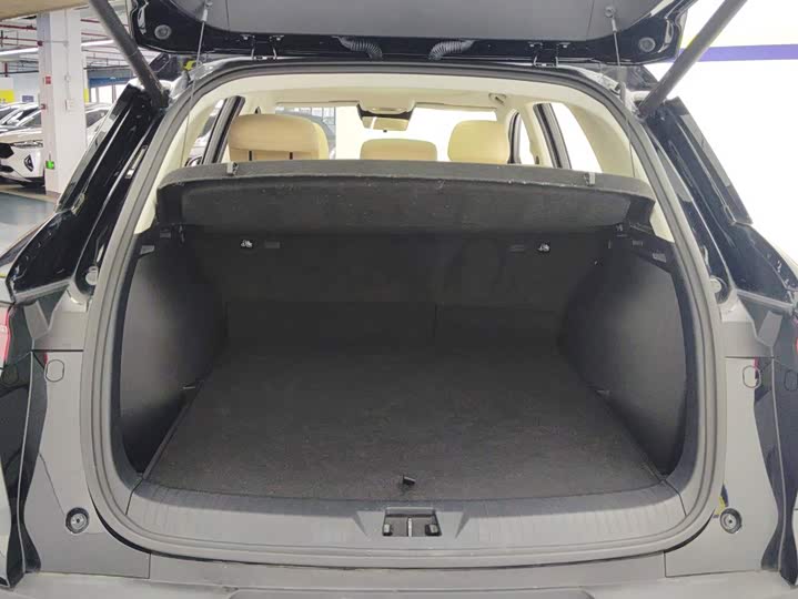 BYD Song Pro Hybrid, 2024 — фото 4 из 9