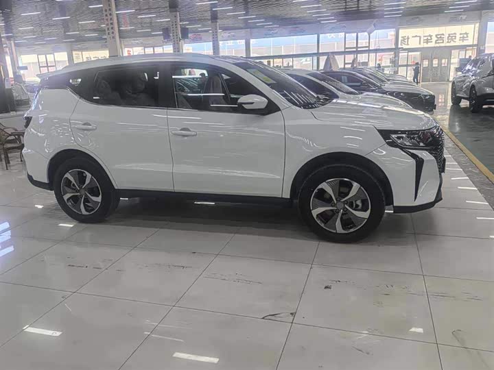 Geely Okavango Pro, 2025 — фото 4 из 9