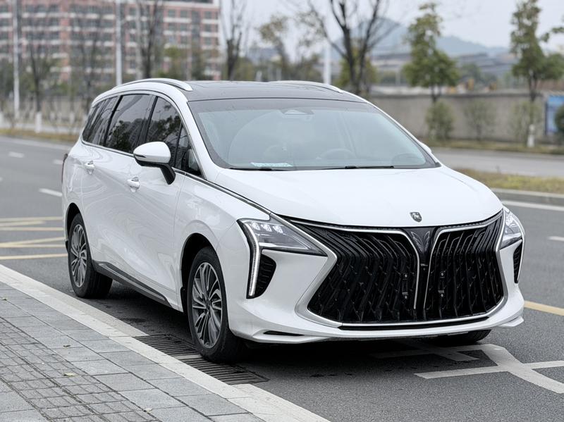 Dongfeng Forthing Yacht, 2023 — фото 3 из 12