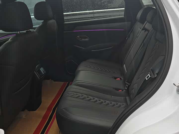 BYD Song L DM-i Hybrid, 2024 — фото 6 из 7