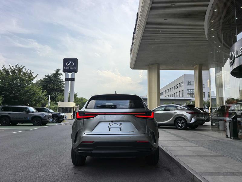Lexus NX, 2023 — фото 6 из 12