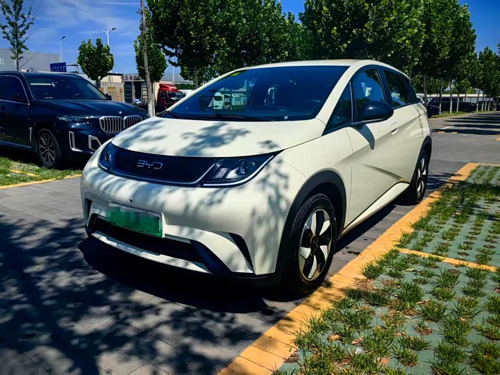 BYD Dolphin, 2026 — купить в Твери под ключ