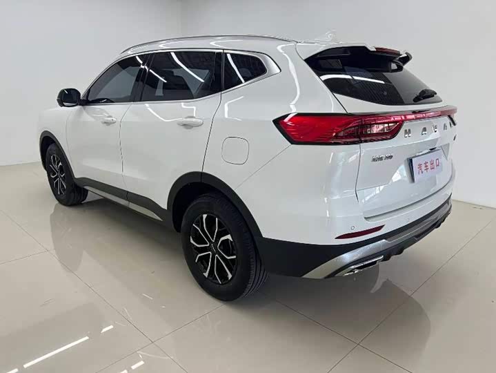 Haval H6, 2023 — фото 6 из 9