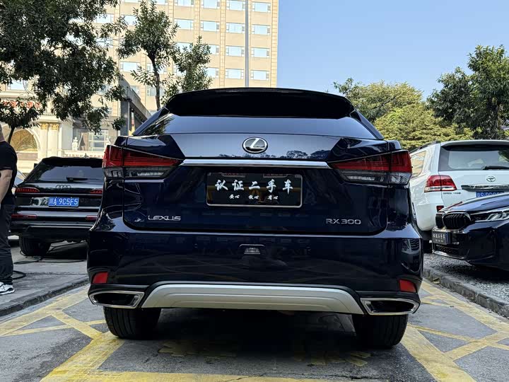 Lexus RX, 2021 — фото 6 из 9