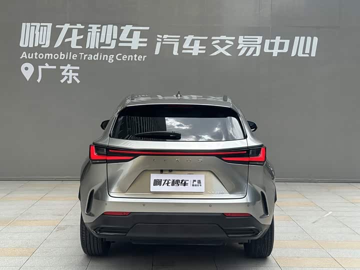 Lexus NX, 2024 — фото 4 из 9