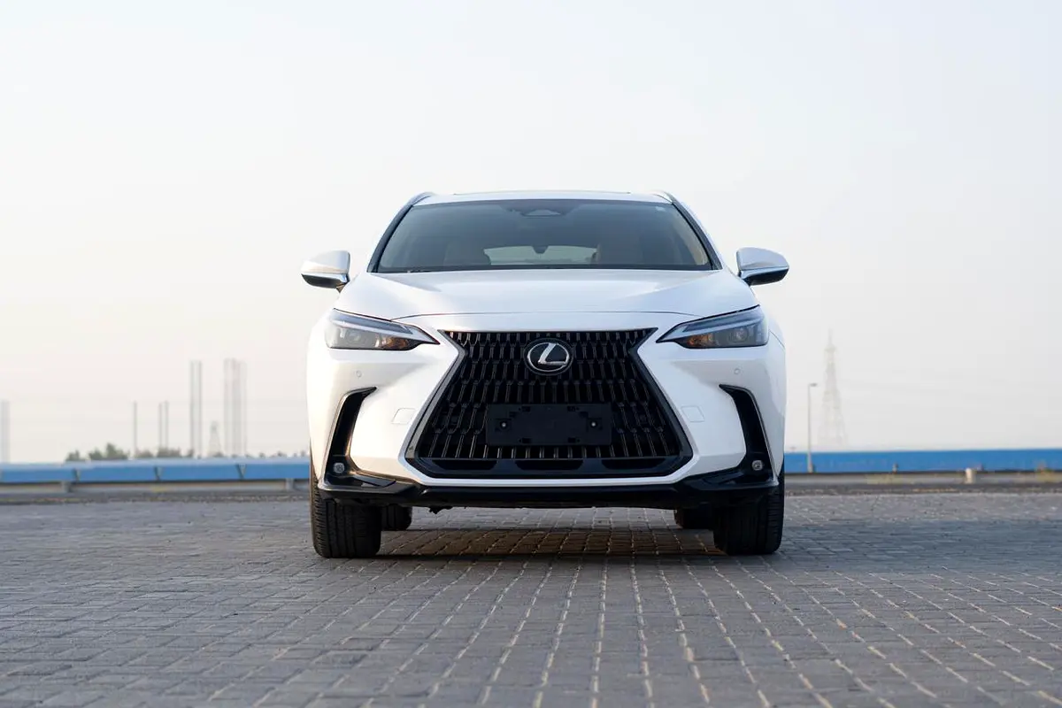 Lexus NX-Series, 2024 — фото 3 из 10