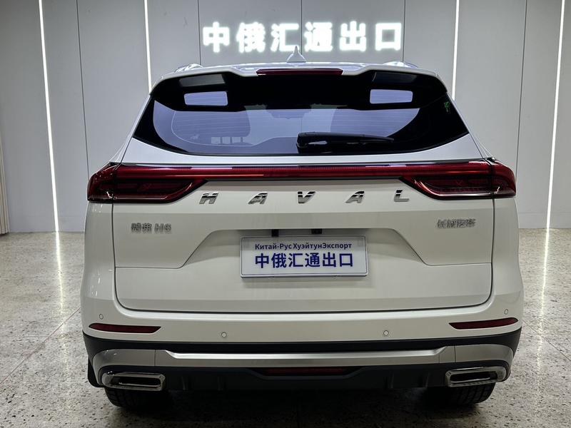 Haval H6, 2023 — фото 5 из 12