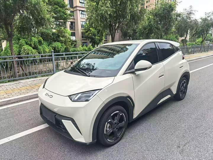 BYD Seagull, 2023 — купить в Ульяновске под ключ