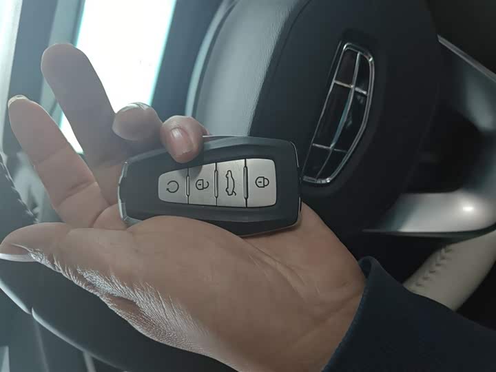 Geely Emgrand L Hi·P Hybrid, 2023 — фото 9 из 12