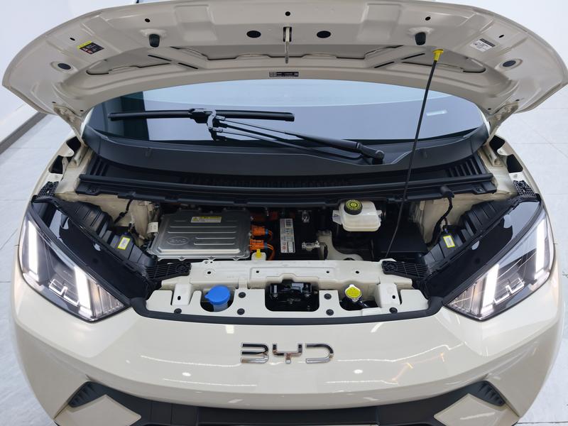 BYD Seagull, 2024 — фото 12 из 12