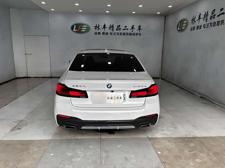 BMW 5 Series Hybrid, 2022 — фото 6 из 9