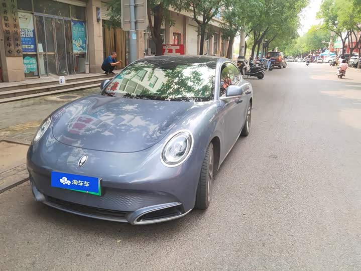 Ora Lightning Cat (07), 2023 — купить в Санкт-Петербурге под ключ
