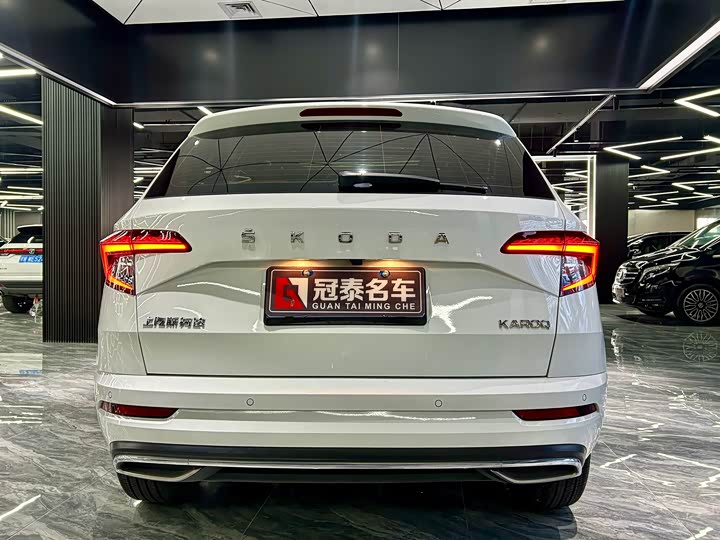 Skoda Karoq, 2024 — фото 6 из 9