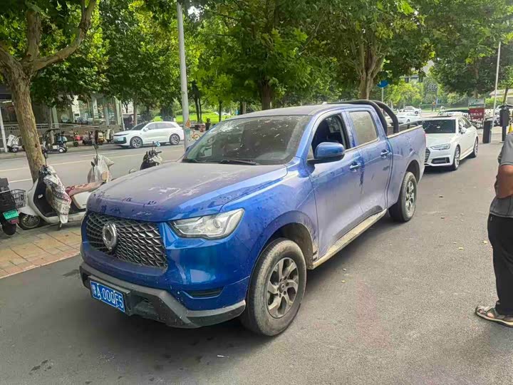 Great Wall Pao, 2021 — купить в Орле под ключ