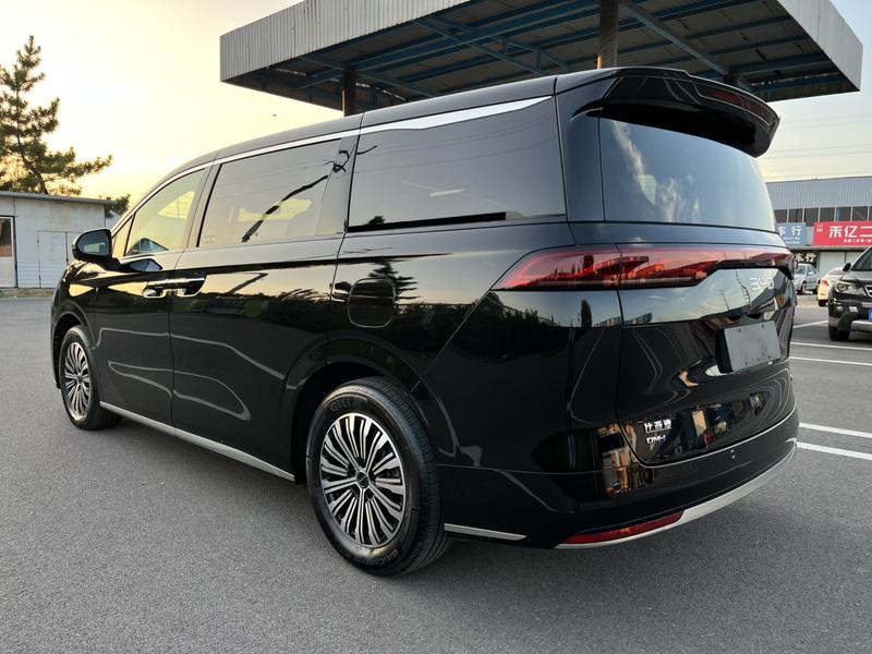 BYD M9, 2025 — фото 5 из 12
