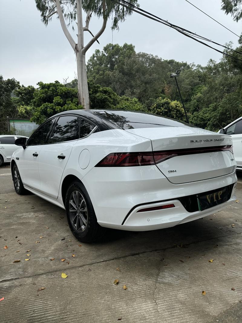 BYD Qin Plus, 2024 — фото 4 из 10