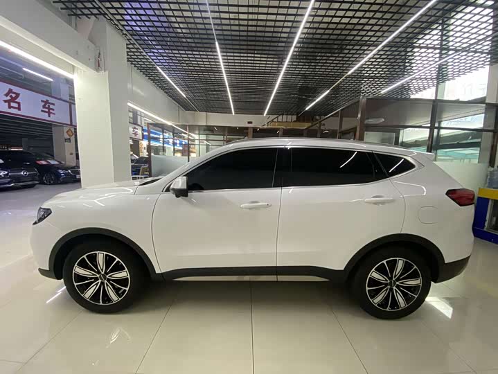 Haval H6, 2023 — фото 5 из 9