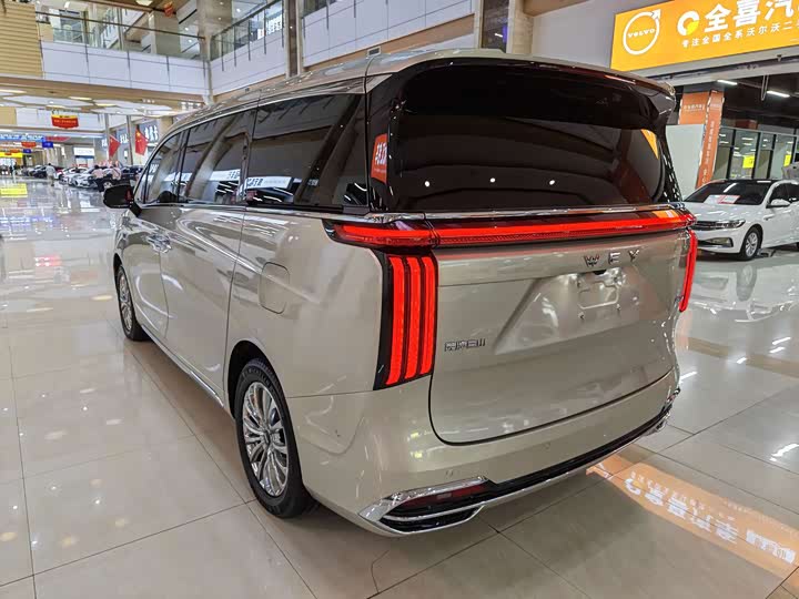 Wey 80 Hybrid, 2023 — фото 3 из 9