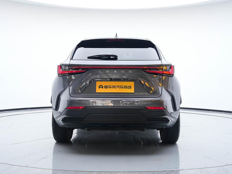 Lexus NX Hybrid, 2023 — фото 6 из 12