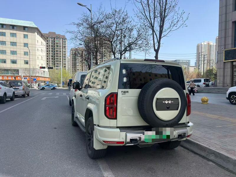 BYD FangChengBao Leopard 5, 2025 — фото 3 из 9