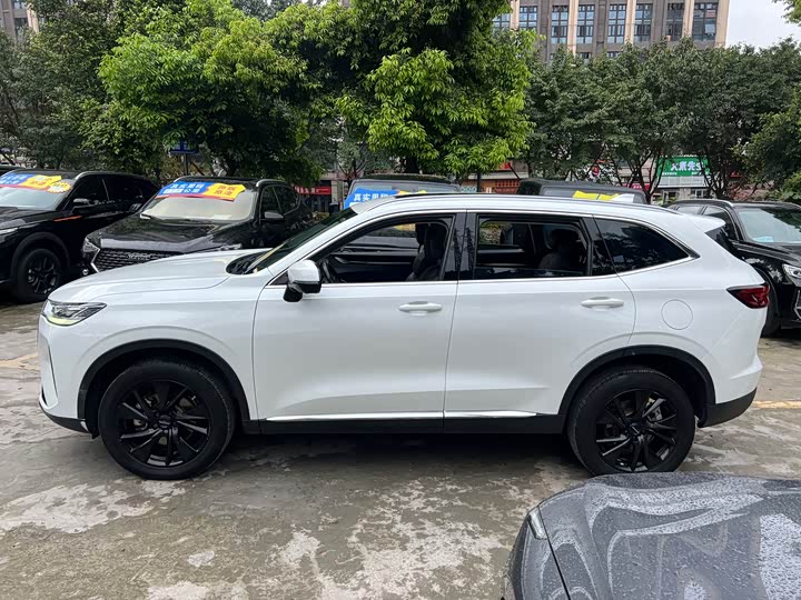 Haval H6, 2022 — фото 6 из 9