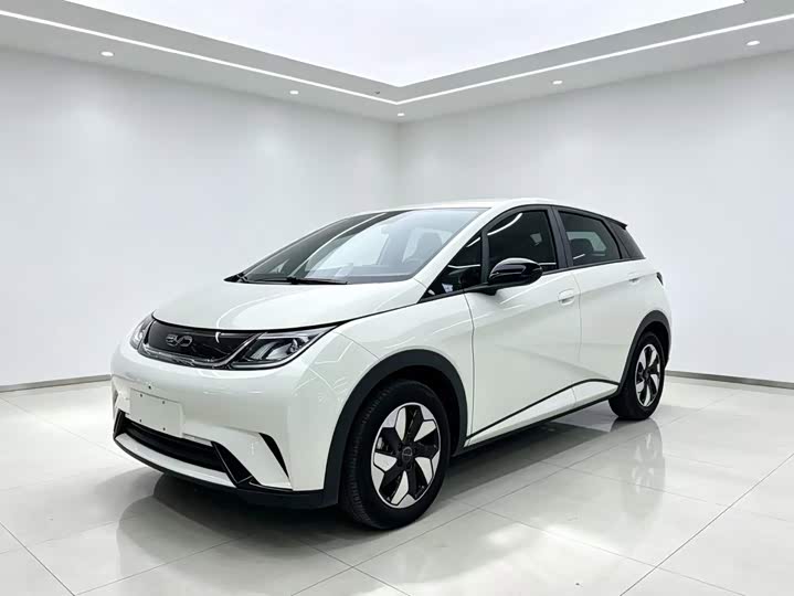BYD Dolphin, 2024 — купить в Перми под ключ