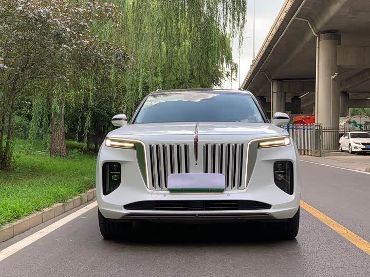 Hongqi E-HS9, 2023 — фото 2 из 9