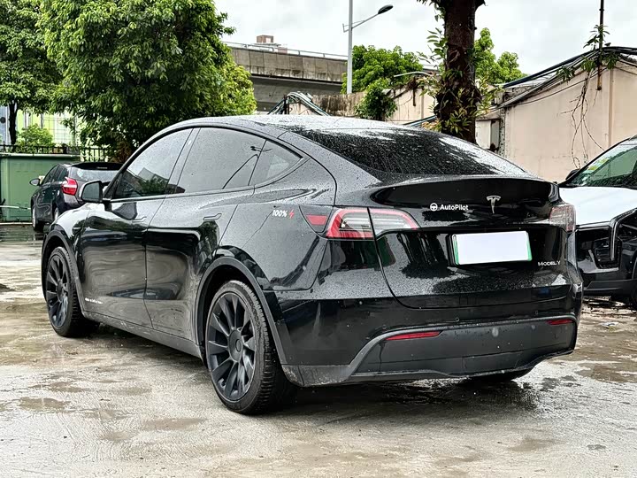 Tesla Model Y, 2021 — фото 4 из 9