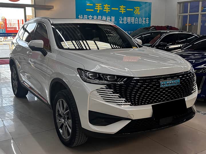 Haval H6 Hybrid, 2022 — фото 3 из 9