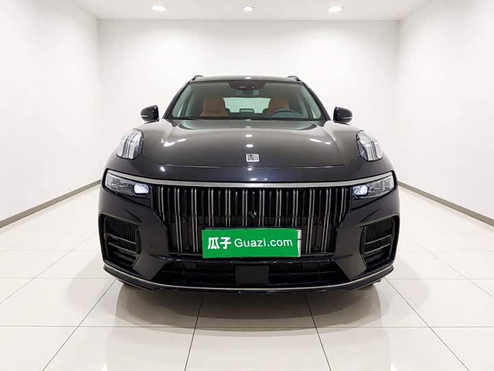 Lynk & Co 09 EM-P Hybrid, 2024 — фото 2 из 9