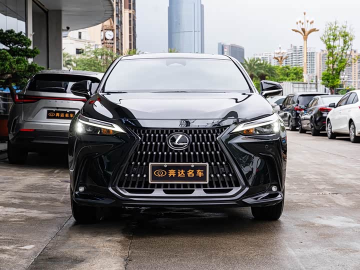 Lexus NX, 2024 — фото 2 из 9