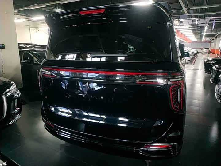 Hongqi HQ9 Hybrid, 2024 — фото 6 из 9