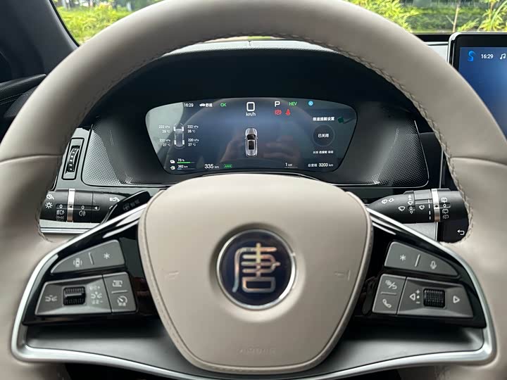 BYD Tang Hybrid/EV, 2024 — фото 8 из 9