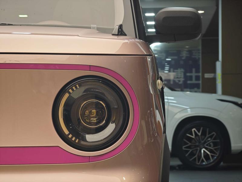 Geely Galaxy Panda Mini, 2024 — фото 7 из 12