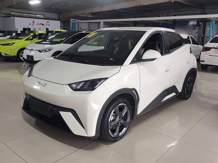 BYD Seagull, 2023 — купить в Калуге под ключ