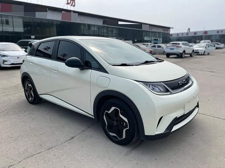 BYD Dolphin, 2022 — фото 3 из 9