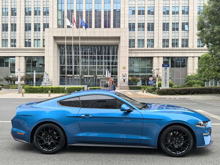 Ford Mustang, 2021 — фото 8 из 9
