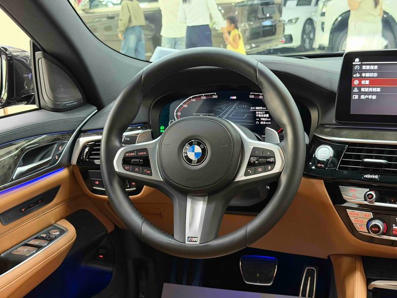 BMW 6 Series GT, 2023 — фото 9 из 12
