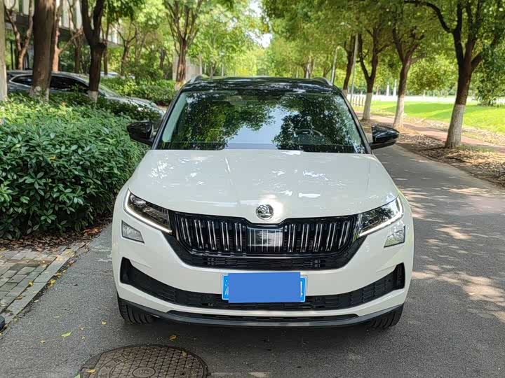 Skoda Kodiaq GT, 2026 — фото 2 из 9