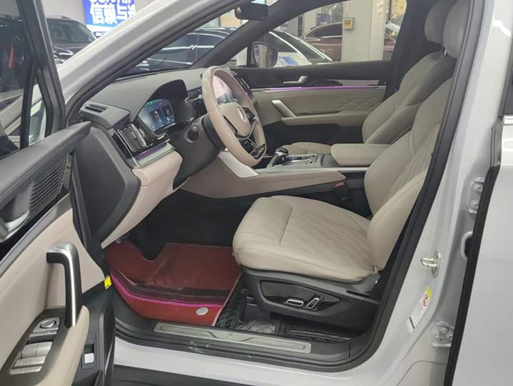 BYD Tang Hybrid/EV, 2024 — фото 9 из 9
