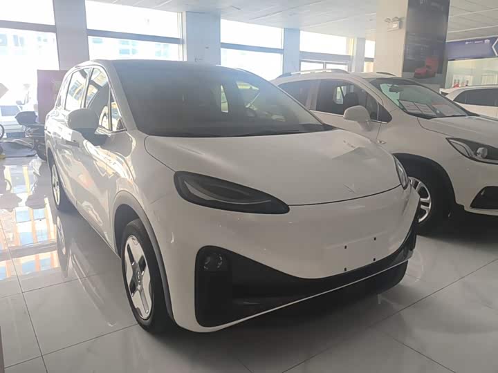 BAIC Arcfox Kaola S, 2024 — фото 4 из 9