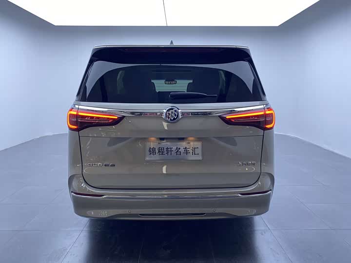 Buick GL8 ES, 2024 — фото 6 из 9