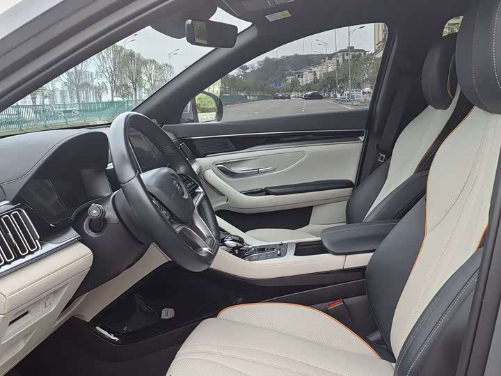 BYD Song Plus Hybrid/EV, 2022 — фото 8 из 9