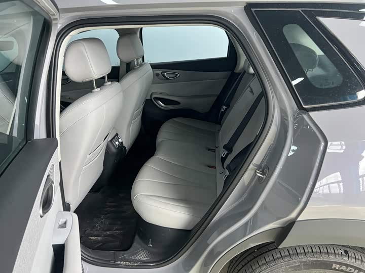 BYD Sea Lion 05 EV, 2025 — фото 8 из 9