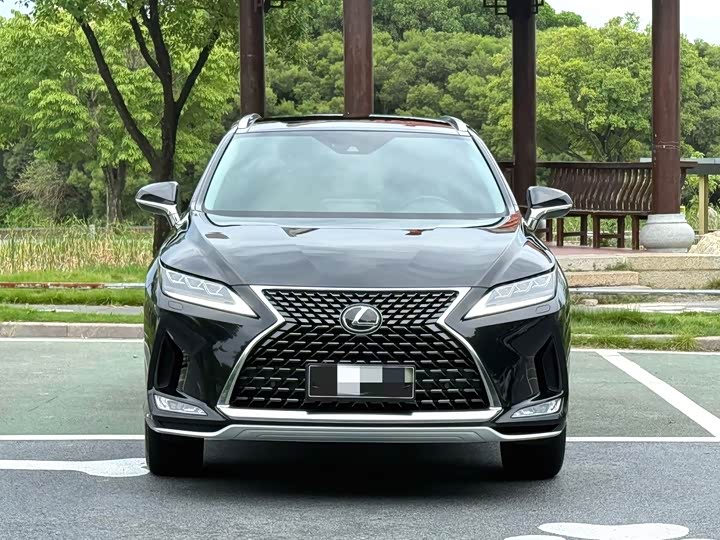 Lexus RX, 2022 — фото 6 из 9