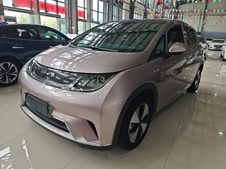 BYD Dolphin, 2023 — купить в Самаре под ключ