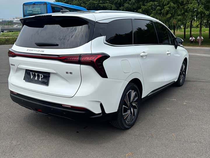 Dongfeng Forthing Yacht, 2023 — фото 8 из 9