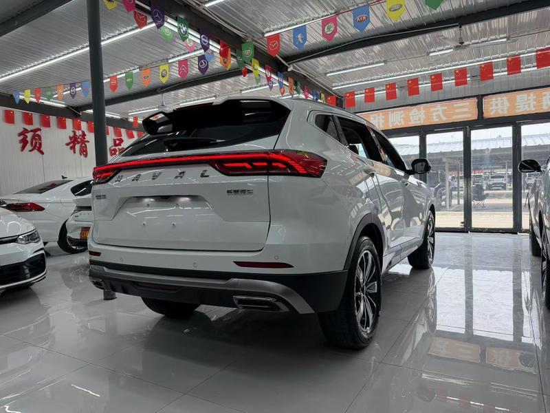 Haval H6, 2023 — фото 6 из 10